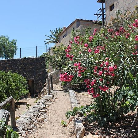 Casa Rural Anton Piche Granadilla De Abona Exterior foto