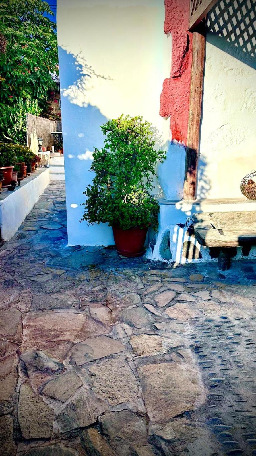 Casa Rural Anton Piche Granadilla De Abona Exterior foto