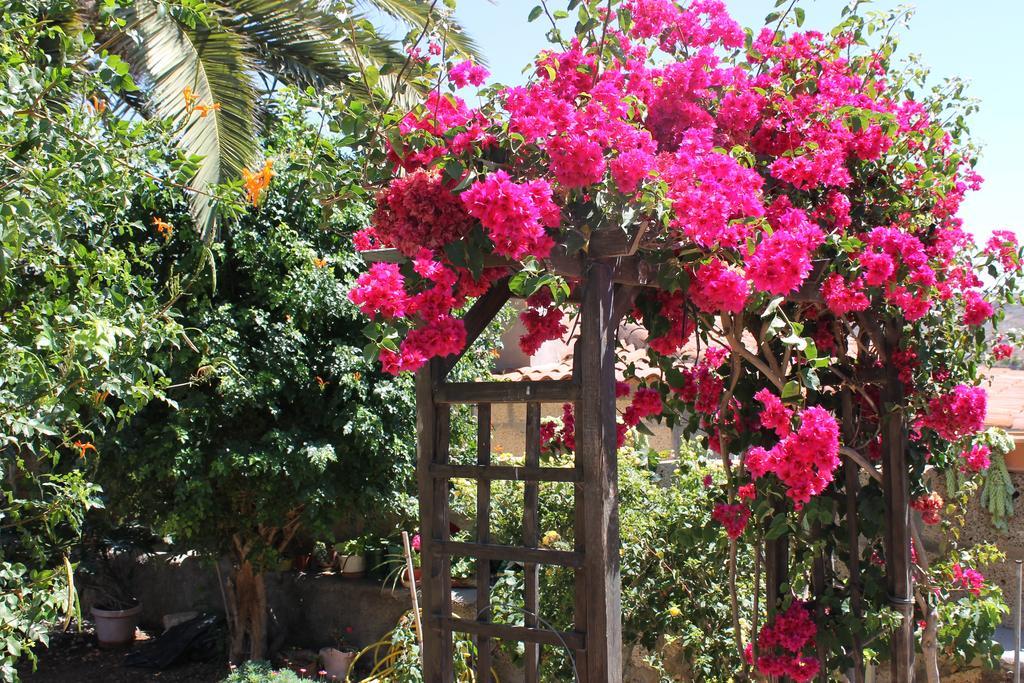 Casa Rural Anton Piche Granadilla De Abona Exterior foto