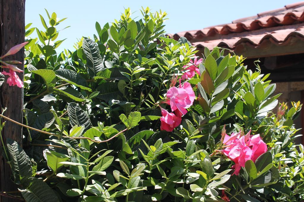 Casa Rural Anton Piche Granadilla De Abona Exterior foto